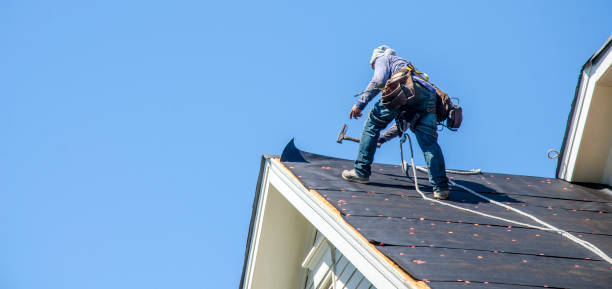 Best Flat Roof Repair Services  in Eau Claire, WI